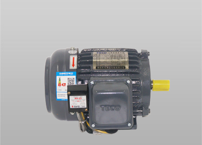 ETEF臥式東元?jiǎng)x車電機(jī)